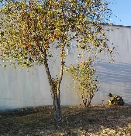 Prázdninový dům A Casa Di Aiace Lecce